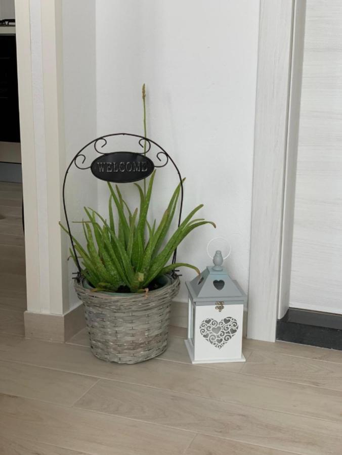 Apartment Salov تروغير الغرفة الصورة